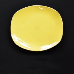 11” Tempo Plate